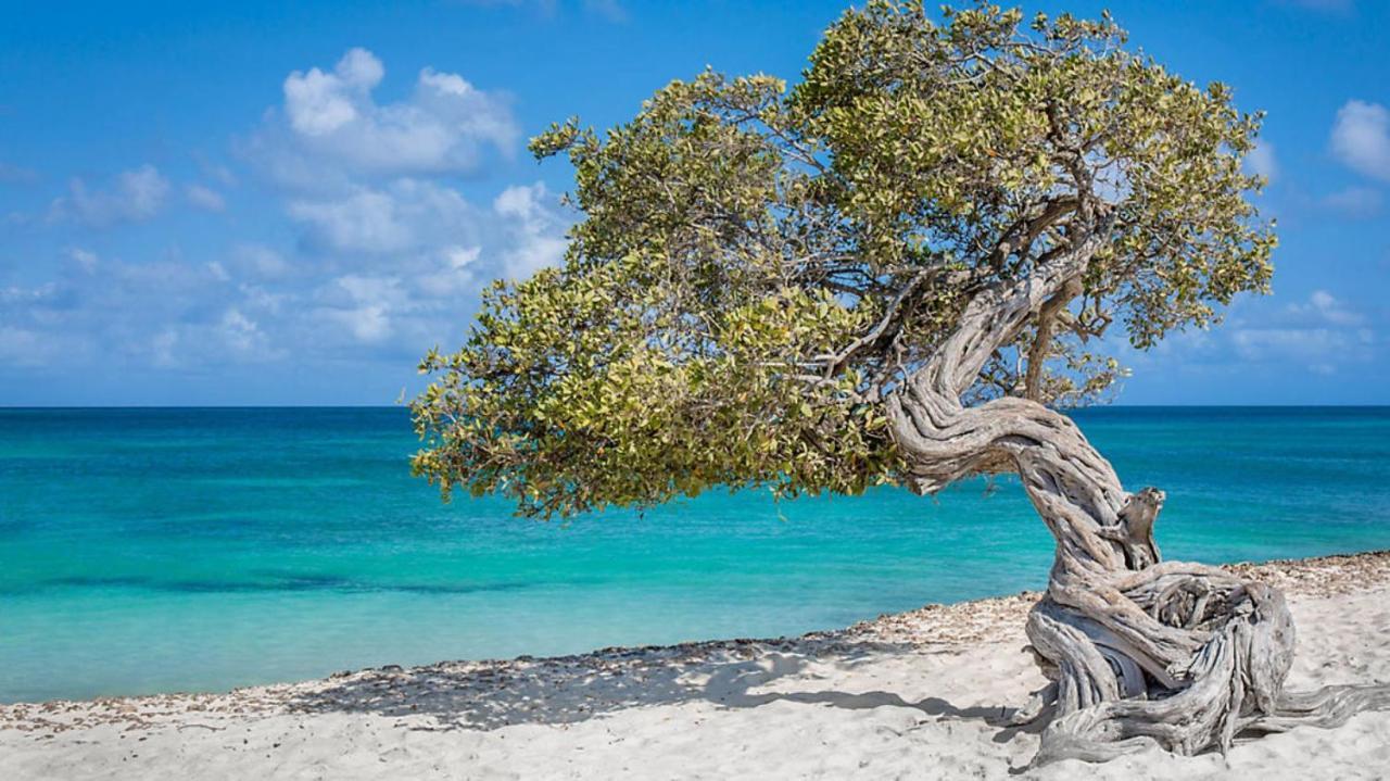 Bluegreen At La Cabana Beach Resort & Casino Palm Beach Buitenkant foto